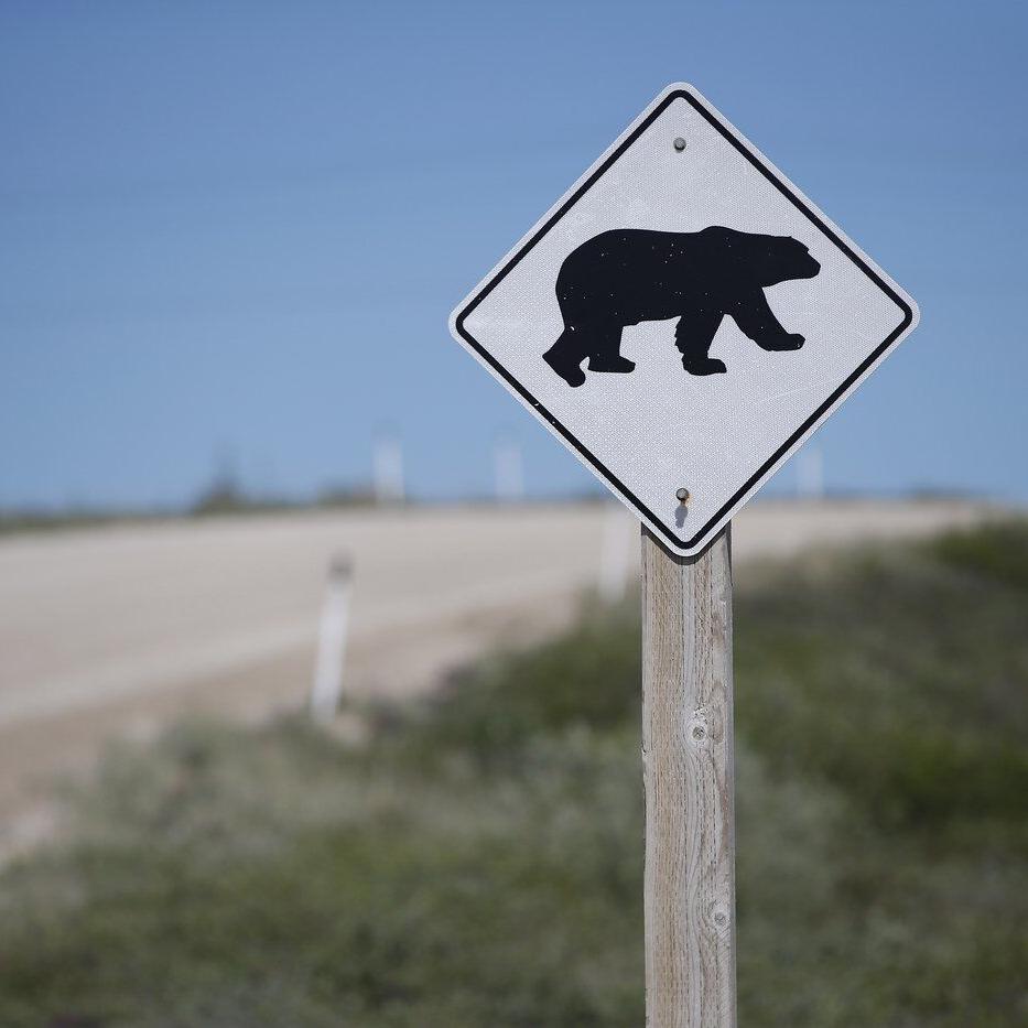 Tory candidate won't apologize for joking that polar bears could deal with homeless